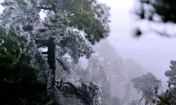思聪合影付款瞬间曝光!前台美女放光芒,这次是不是真动了感情?