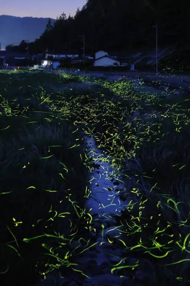 逃离沙地