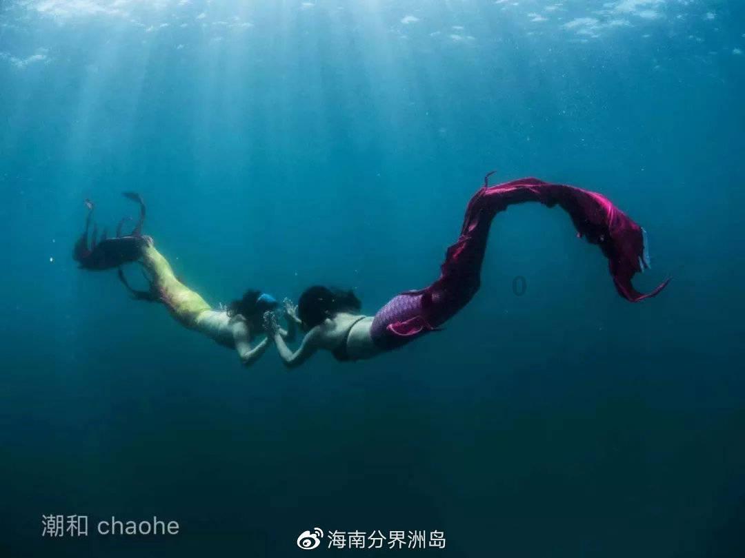 在宠物店拍到的，这猫的马杀鸡技术一看就非常专业！